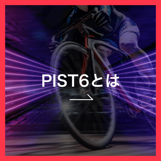 PIST6とは